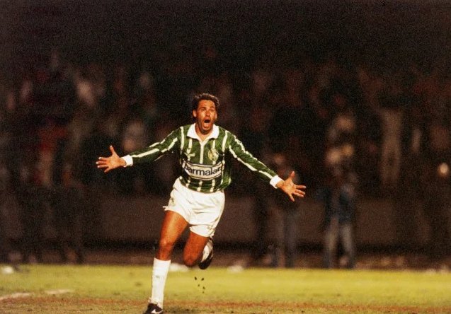 Paulistão 1993